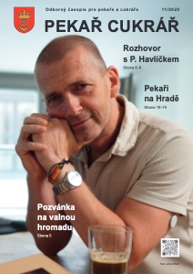 PC 11/2025